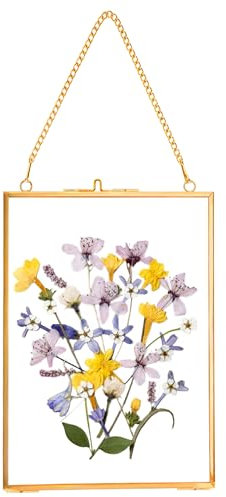 REDHUGO gepresste Blumenrahmen, schwebende Glasrahmen zur Präsentation von getrockneten Pflanzenspezimen, hängender Messing-Fotorahmen mit Kette, doppelt klares Glas, Vintage Wanddekoration, Rechteck