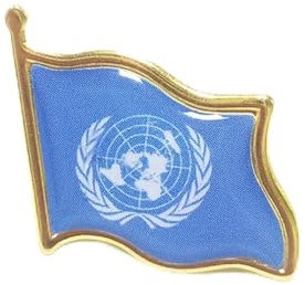 Wisafory 20 Stück Flaggen Pin Broschen Anstecknadel Anstecker Flagge Abzeichen Nationale Brosche Metall Flaggen Pins Anstecknadelabzeichen für Kleidung und Taschen Vereinte Nationen