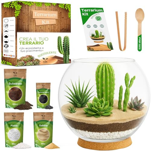 PYEF CRAFTS Kit Terrario Plantas Suculentas & Cactus DIY - Kit Terrario Cristal Ecosistema Desierto - Set Pecera para Plantas Suculentas & Cactus Naturales - Jardín Eterno Desértico (Sin Planta) (2L)