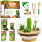 PYEF CRAFTS Kit Terrario Piante Grasse Vere & Cactus DIY - Terrarium Kit Fai Da Te per un Ecosistema Autosufficiente - Set Completo di Boccia in Vetro per Giardino in Bottiglia (Senza Pianta)