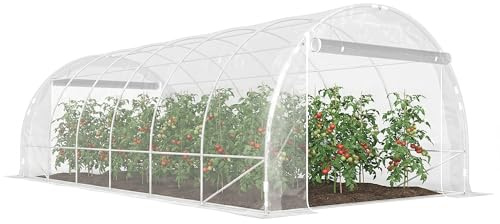 Outsunny Serra da Giardino a Tunnel 3x6x2 m, Serra per Orto, Trasparente