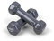 TRENAS Kurzhanteln | 2er Set | Hantelset | je 0,50 kg | Hanteln für Frauen und Männer | Fitness und Krafttraining zuhause und im Fitnessstudio | 2 x 0,50 kg | Hexagon