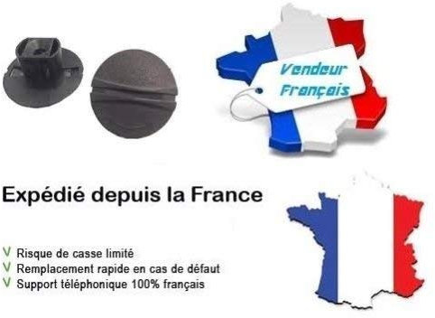 Lot 5 Clips tapis de sol OE 7584AQ