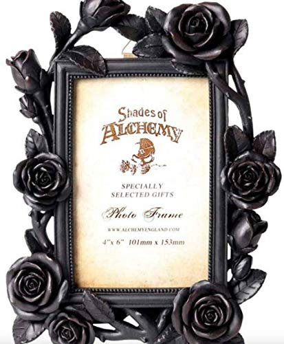 The Vault Alchemy Gothic - - Coup de coeur - Cadre Photo Rose & Vine Black frame