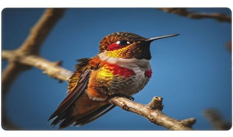 KINGWW Tapis de souris vibrant en forme de colibris avec base en caoutchouc antidérapant pour bureau, maison, ordinateur portable, voyage, 74,9 x 40,1 cm