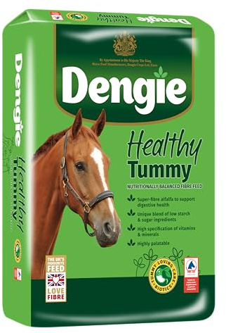 Dengie Healthy Tummy 20kg Horse Feed - Chopped Alfalfa Chaff - Includes Alfalfa Pellets Suitable for Horses Prone to Gastric Ulcers - Promotes Digestive Health