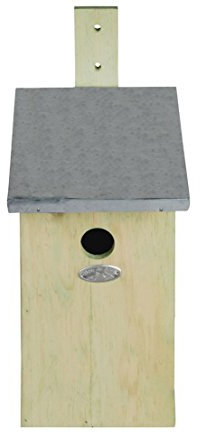Dehner Beobachtungsnistkasten mit Plexiglasscheibe, ca. 33 x 17 x 22 cm, Holz