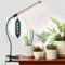 FECiDA 2Pack 9W Clip Pflanzenlampe LED, Vollspektrum Pflanzenlampe mit Timer für Zimmerpflanzen, Grow Light mit High PPFD Wachstumslampen für Blumen, Gemüse, Hydroponik mit Zeitschaltuhr 4,8,12 Hr