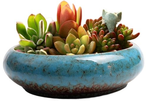 Jorzer Lotusschale Lotusschale-Pflanzgefäß 18,8x18,5x5,3 cm Keramik-Lotusschale Seerosen- Narzissen-Bonsai-Topf Hydrokultur-Sukkulenten-Topf für die Bepflanzung im Innen- und Außenbereich Blau