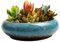 Jorzer Lotusschale Lotusschale-Pflanzgefäß 18,8x18,5x5,3 cm Keramik-Lotusschale Seerosen- Narzissen-Bonsai-Topf Hydrokultur-Sukkulenten-Topf für die Bepflanzung im Innen- und Außenbereich Blau