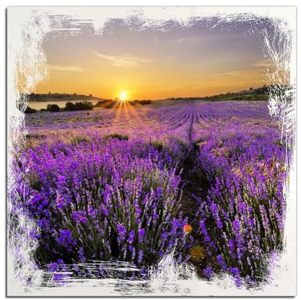Wallario Wandbild aus Holz Sonnenuntergang über dem Lavendel - 50 x 50 cm in Premium-Qualität: Brillante Farben