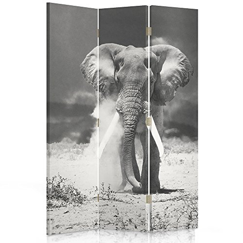 Feeby Frames. Raumteiler, Ggedruckten auf Canvas, Leinwand Wandschirme, dekorative Trennwand, Paravent beidseitig, 3 teilig (110x180 cm), GROßER Elefant, SCHWARZ-WEIß