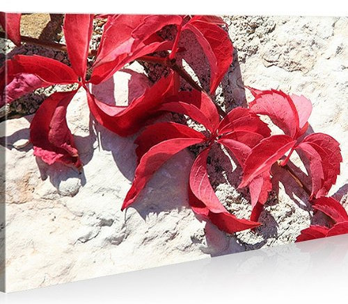 islandburner Bild Bilder auf Leinwand Efeu 1p Italien Frühling XXL Poster Leinwandbild Wandbild Dekoartikel Wohnzimmer Marke
