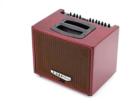 Keytone KAT-120 Akustik-Verstärker mit Mikrofon Eingang 1. Serie