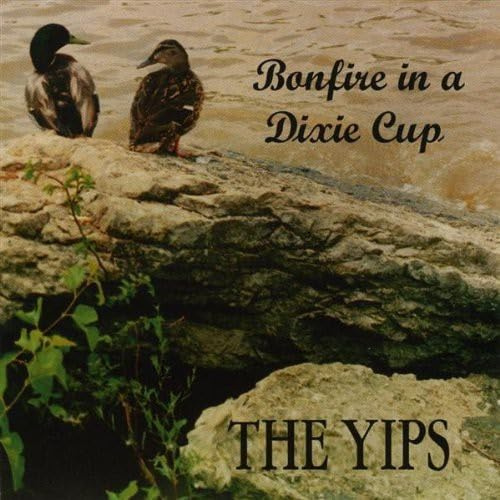 Bonfire in a Dixie Cup