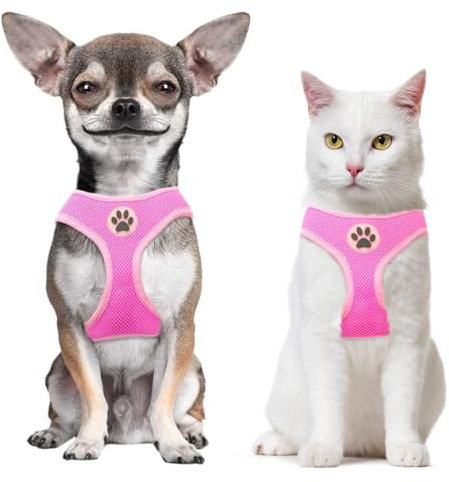 bingpet weichem Mesh-Hundegeschirr Pet Walking Weste Puppy Gepolsterte Geschirre Verstellbare, XS, Rose