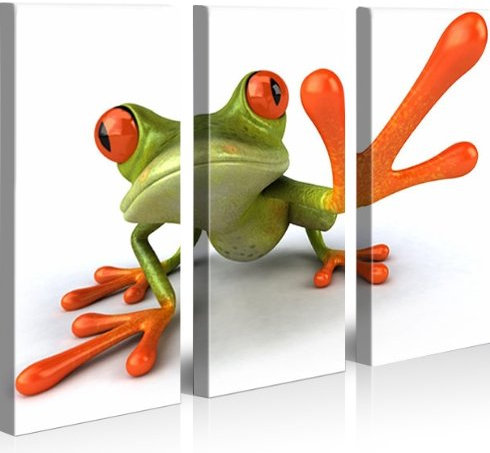 islandburner Bild Bilder auf Leinwand Hey Frog XXL Poster Leinwandbild Wandbild Art up Your Life ®