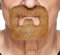 Mustaches Selbstklebender Inmate Falscher Bart, Neuheit, Falsche Gesichtsbehaarung, Kostümzubehör für Erwachsene, Ingwer Farbe