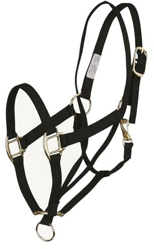 Basic Pull Back Trainingshalfter schwarz