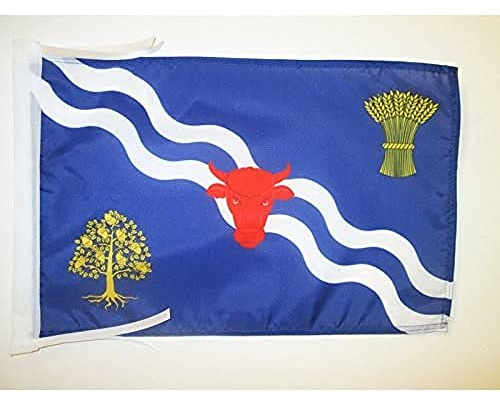 AZ FLAG Oxfordshire county Flag 45x30 cm 100D Polyester Cords | Indoor and outdoor use 12x18 in decorative flag double stitched seams and reinforced edges with ties