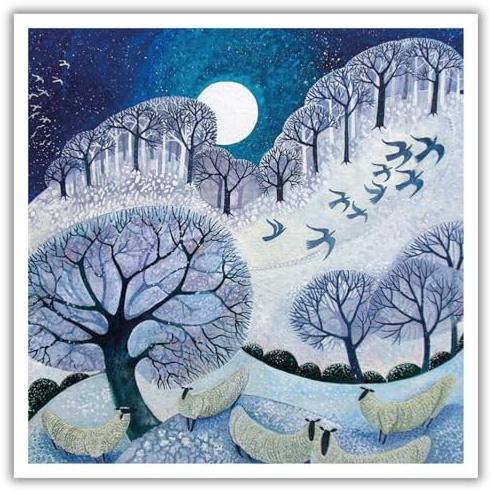 Museums & Galleries Winter Woollies Pack of 5 Charity Christmas Cards with White Envelopes