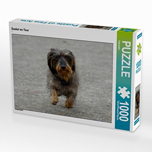 CALVENDO Puzzle Dackel on Tour 1000 Teile Puzzle quer | Lege-Größe cm Foto-Puzzle für glückliche Stunden