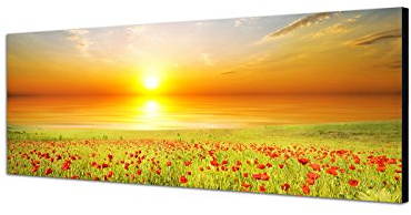 Augenblicke Wandbilder Leinwandbild als Panorama in 150x50cm Mohnblumen Feld Frühling Sonnenuntergang