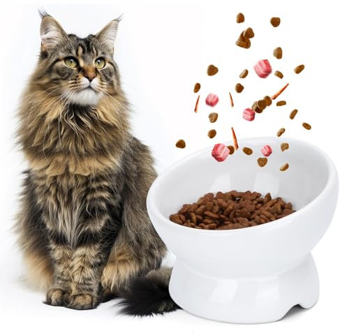 Nobleza - Gamelle en Céramique pour Chats, Gamelle Chat Surélevée Inclinable à 15°, Anti Vomissement et Facile à Nettoyer, Gamelle Chat pour Chats et Petits Chiens,Blanc