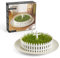 PELEG DESIGN - Seed Field Keimhilfe | Der kleine Garten zum Sprossen-Züchten | Anzuchtschale in Garten Form | Chia Seeds Starter Kit | Garden Plant Set | Geschenk an Weihnachten, Geburtstag, Ostern
