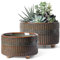 LE TAUCI Pot pour Plantes Grasses, 16,5+20 cm Pots de Fleurs Intérieur avec Trou de Drainage, Design Moderne Jardinière pour la Maison et Le Bureau, Idée Cadeau Maman, Lot de 2, Émail Noir Réactif