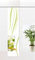gardinen-for-life Flächenvorhang Drinks Caipirinha, Schiebevorhang mit Druck-Motiv, Gr.60x260cm, Küche