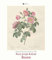 DUMONTS Botanisches Kabinett - Redouté Rosen - Kalender 2024 - DUMONT-Verlag - Wandkalender - Kunstkalender - 34,5 cm x 40 cm