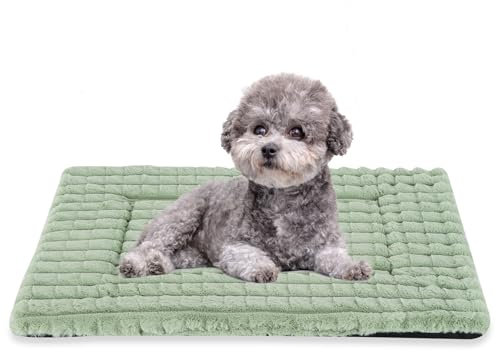 BVAGSS Dog Bed Washable Crate Mattress,Anti-Slip Crate Pad, Memory Foam Dog Beds, Soft Warm Pet Cushion for Small Medium Dogs, Calming Fluffy Sleeping Kennel Bed Pad XH082 (75x50cm,Green)