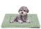 BVAGSS Flauschiges Orthopädisches Hundebett, Waschbar Hundematte, rutschfeste Unterseite, Plüsch Hundekissen Weiche und Warme Hundematte für klein mittel große Hunde XH082 (75x50cm,Grün)