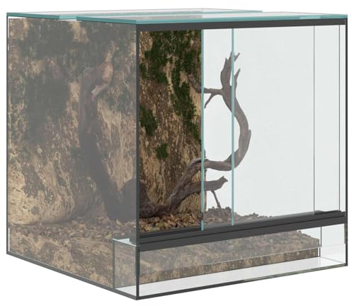 vidaXL Terrarium mit Speicher Transparent 30 x 30 x 30 cm Glas