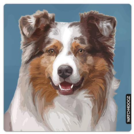 Berger Australien Panneau, Plaque Attention au Chien, 22 x 22 cm