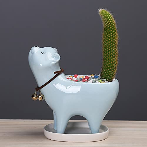 Pots en céramique sans queue de chat - Pot de fleurs créatif pour toutes les plantes d'intérieur, plantes grasses, fleurs, cactus, pour intérieur, extérieur, bureau, maison, jardin, cuisine - Bleu B