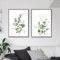 AWKFHF Minimalistisches Botanisches Eukalyptus Bilder,Leinwandbild Poster Kunstdruck Wohnzimmer Deko Schlafzimmer Bilder Wanddekoration (2X60X80CM,ohne Rahmen)