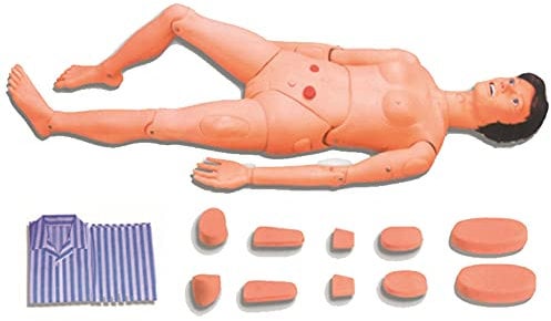 SGKOMN Simulationsmodell zur Demonstration der Krankenpflegeausbildung für Frauen, menschliche Puppe in Lebensgröße für den Unterricht an der Schule für Krankenpflegemedizin