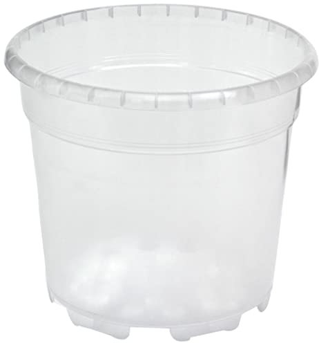 Vaso trasparente per orchidee 12x10,5 cm (n.1 pezzo), ditta Arca