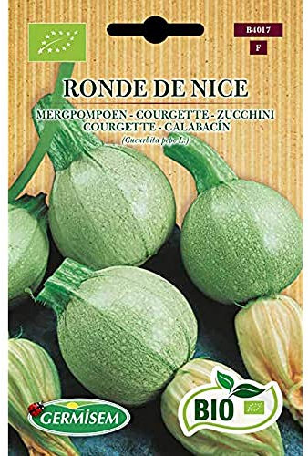 Germisem Biologico Ronde de Nice Semi di Zucchine 4 g