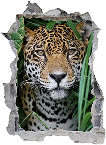 3D Beschädigten Wandsticker,Leopard, Kinderzimmer Babyzimmer Entfernbare Wandtattoos Wandbilder 53x80cm