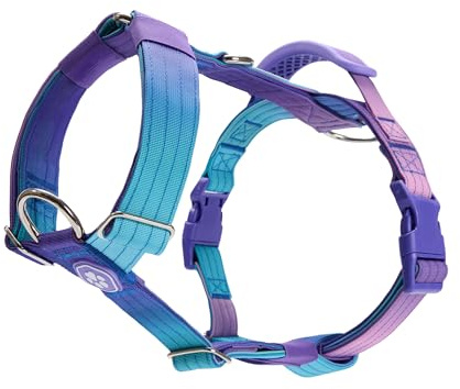 Spark Paws No Pull Hundegeschirr mit Griff für große Hunde, strapazierfähiges Hundegeschirr für große, kräftige Rassen, verstellbar, gepolstertes Y-förmiges Halfterdesign - 90s Retro - L