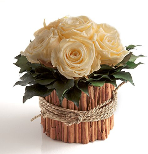 ROSEMARIE SCHULZ Heidelberg Rosengesteck 6 konservierte Rosen lang haltbar 3 Jahre/Bauernhaus/Wohnung/Zimmer/Tisch (Beige)
