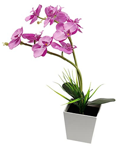 PRETYZOOM Led-tischlampe Für Orchideen Nachttischlampe Mit Bonsai-blumenlicht Schreibtischleuchte Mit Led-perlen Ästhetisches Licht Für Topfblumen