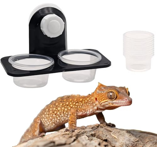 Jiuxuerim Reptile Water and Food Bowl Leopard Gecko Accessories Gecko Feeding Ledge Reptile Feeder with 10 Pack Water Bowl for Lizard Chameleon Turtle Tortoise Snake Scorpion Centipede