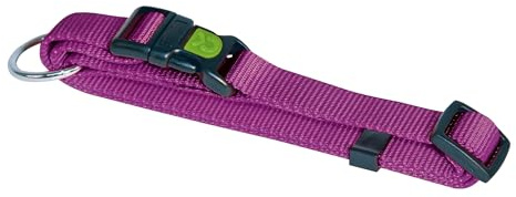 Kerbl Pet Hundehalsband Miami | Lila, 10 mm breit, Halsumfang 20–35 cm, verstellbares Nylon, wasser- und schmutzabweisend