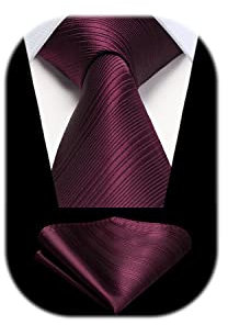 HISDERN Krawatten Burgund Herren Hochzeit Krawatte mit Einstecktuch Klassisch Business Krawatte & Taschentuch Set