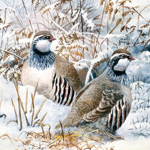 Museums & Galleries Pack of 8 Artistic Charity Christmas Cards (288949-XAE) from Partridge in The Snow by David Feather - 8 Cards of 1 Design