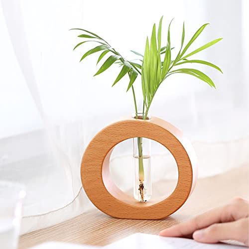 KWQBHW Reagenzglasvase mit Holzständer, 1 Stück Glas-Pflanzgefäß, Anzuchtstation, transparente Röhre, Blumenvase, Desktop-Pflanzen-Terrarium, Glasvase für Büro, Heimdekoration